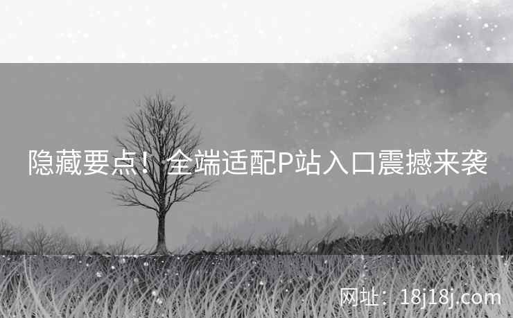 隐藏要点！全端适配P站入口震撼来袭