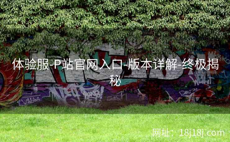 体验服-P站官网入口-版本详解-终极揭秘