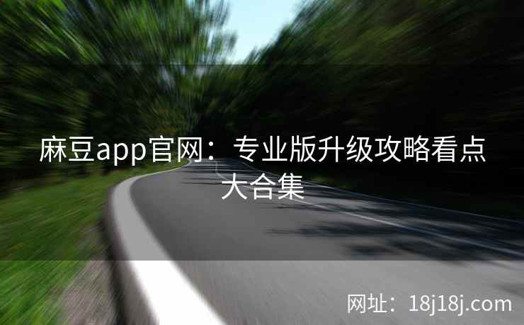 麻豆app官网：专业版升级攻略看点大合集