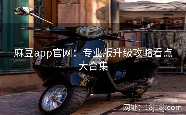 麻豆app官网：专业版升级攻略看点大合集
