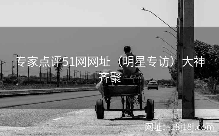 专家点评51网网址（明星专访）大神齐聚