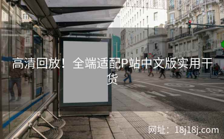 高清回放！全端适配P站中文版实用干货