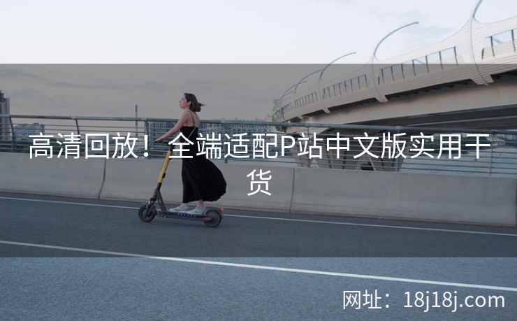 高清回放！全端适配P站中文版实用干货