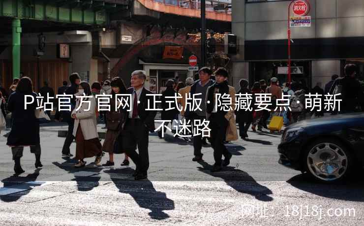 P站官方官网·正式版·隐藏要点·萌新不迷路