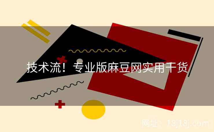 技术流！专业版麻豆网实用干货
