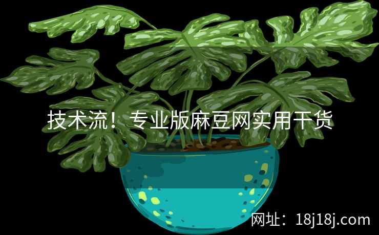 技术流！专业版麻豆网实用干货