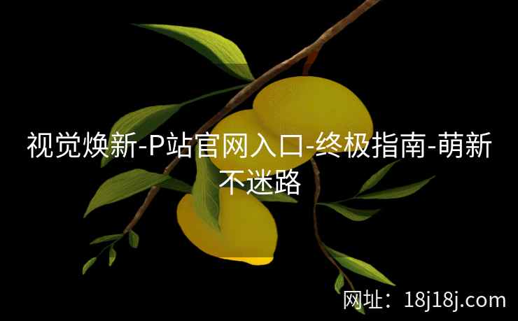视觉焕新-P站官网入口-终极指南-萌新不迷路