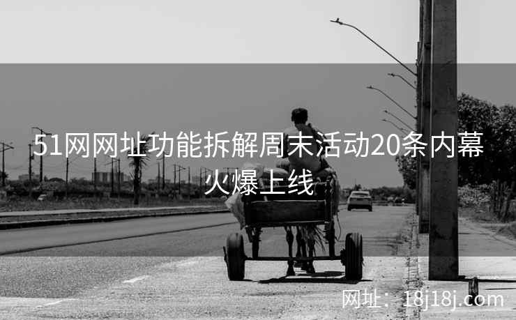 51网网址功能拆解周末活动20条内幕火爆上线