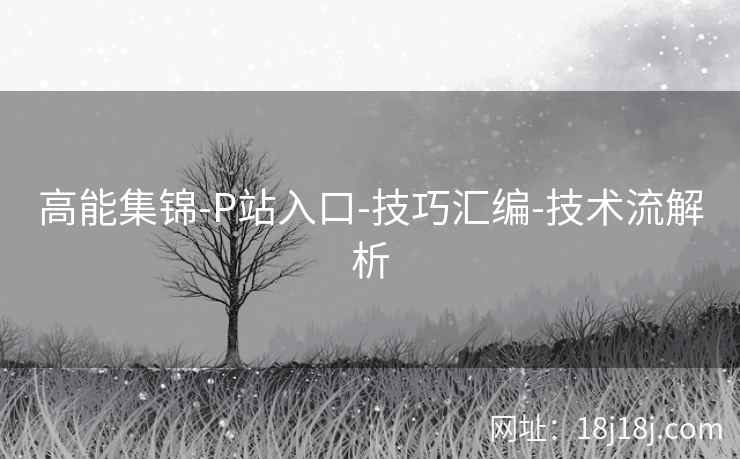 高能集锦-P站入口-技巧汇编-技术流解析