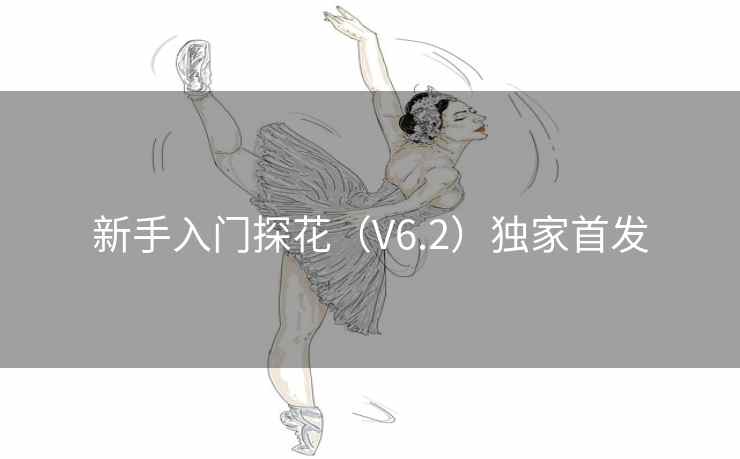 新手入门探花（V6.2）独家首发