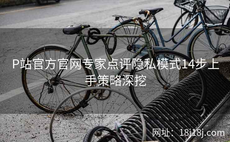 P站官方官网专家点评隐私模式14步上手策略深挖