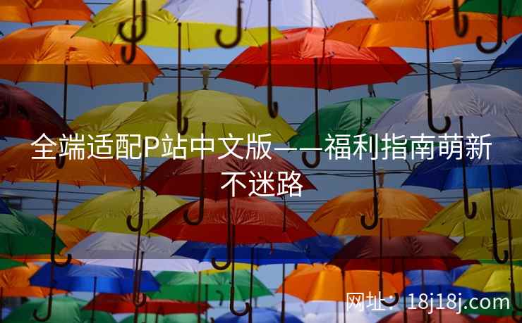 全端适配P站中文版——福利指南萌新不迷路