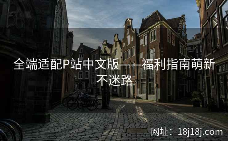 全端适配P站中文版——福利指南萌新不迷路