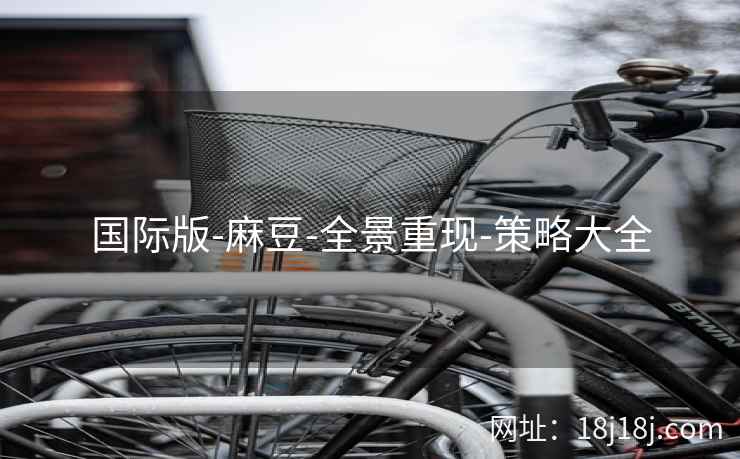 国际版-麻豆-全景重现-策略大全